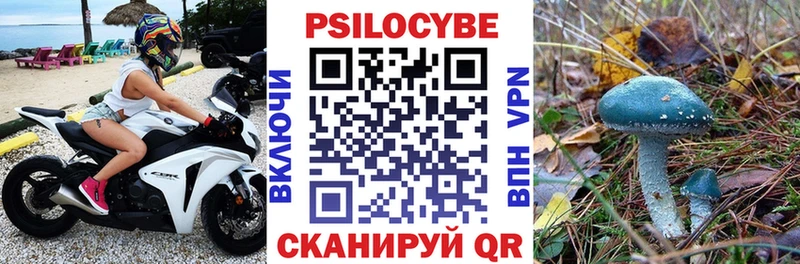 Галлюциногенные грибы мицелий  МЕГА tor  Сольцы  купить наркоту 